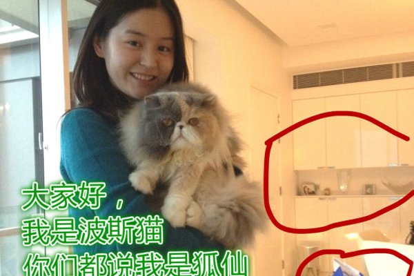 柏雪为什么退出娱乐圈真相揭秘 被反噬了吗?灵异事件到底发生了什么
