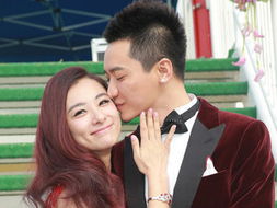 杨宗纬老婆个人资料 结婚照:杨宗纬张碧晨什么关系