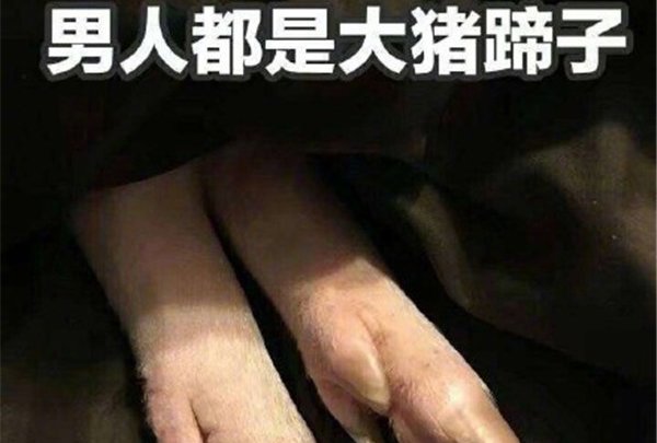 大猪蹄子形容男人是什么意思 充满胶原蛋白可以是褒义