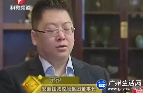 e租宝丁宁个人资料 是干什么的?e租宝创始人丁宁现状