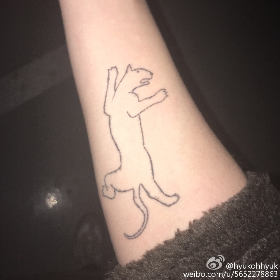 ������ո������ϼ�� �ᰮ���������й����и���