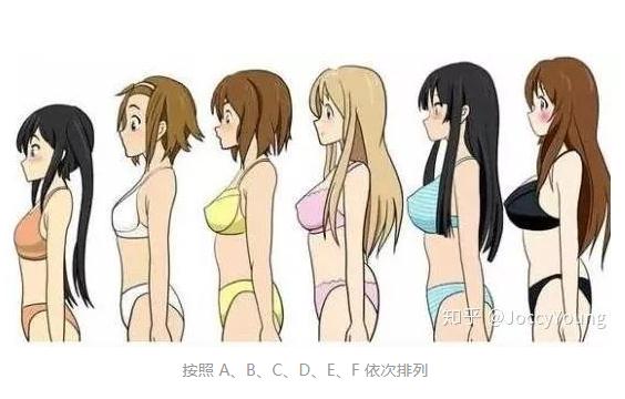 女性胸围尺寸等级 ABCDEFG罩杯有多大图片
