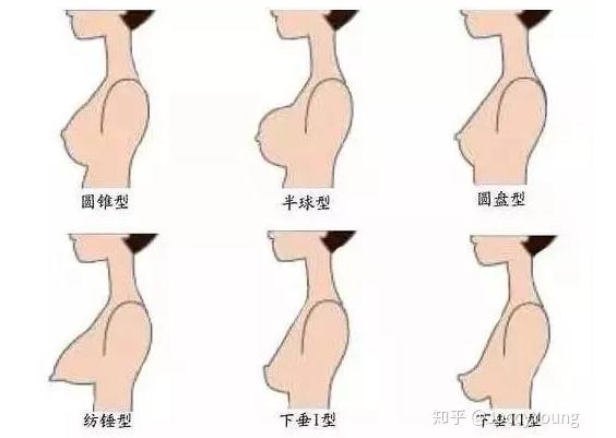 女性胸围尺寸等级 ABCDEFG罩杯有多大图片