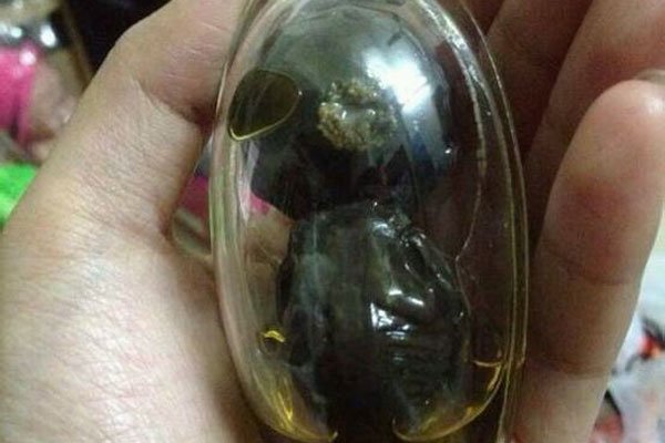 泰国佛牌正牌和阴牌怎么区分 制作方法:泰国阴牌有多邪