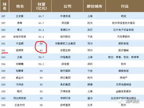 散打哥身价多少亿 身家达到六十亿