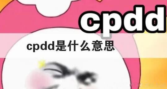 cpdd是什么意思网络热词 情侣关系:cpdd是真的处对象吗