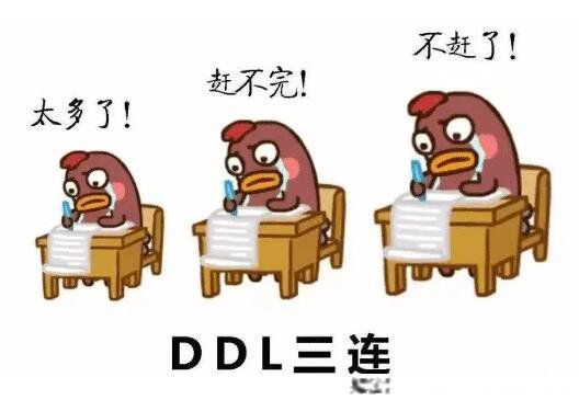 cpdd是什么意思网络热词 情侣关系:cpdd是真的处对象吗