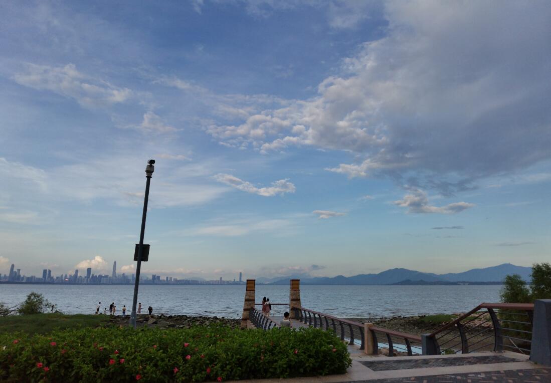 深圳湾是什么地方 有什么景观比较好玩呢