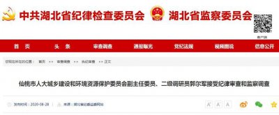 二级调研员是什么级别 处长:二级调研员有什么待遇