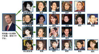 何猷佳真的存在吗 智商缺陷:何猷佳为什么不露面