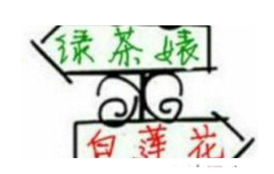白莲花是什么意思形容人 十分常见:是贬义词还是褒义词