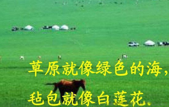 白莲花是什么意思形容人 十分常见:是贬义词还是褒义词