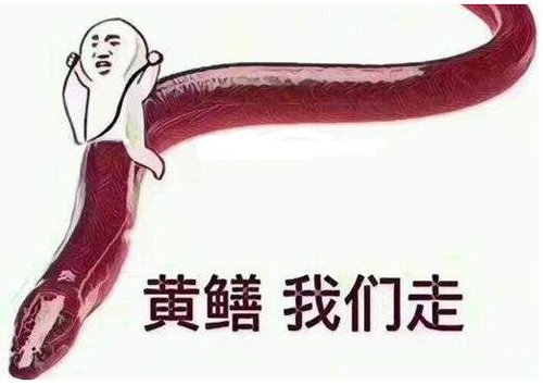 ������Ů�������������� Ů����Ϊ��Ǯ�����б��ݻ���Ϸ��
