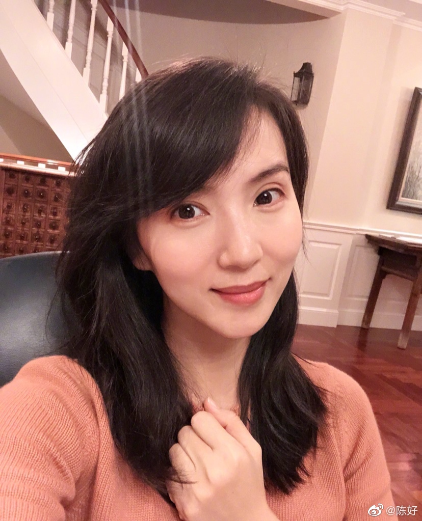 陈好老公的个人简介图片 现在状况:陈好为什么退出演艺圈
