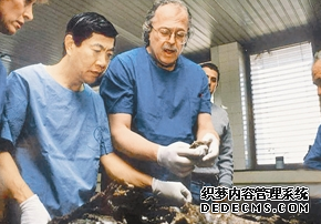 һ�ۿ���Ů�˳��죺�����Ϊʲô��ôţ �������ھ��䰸�����
