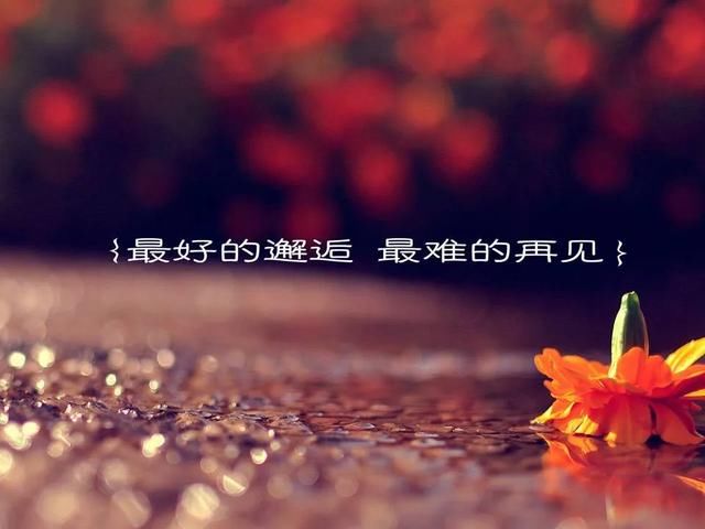 419��ʲô��˼�������� �����۴ʲ��ǰ���������