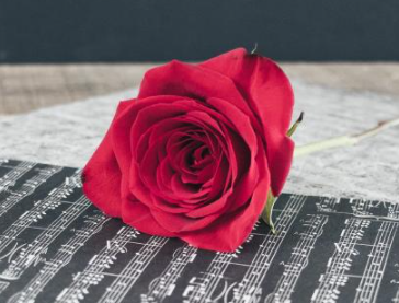 生理反应越强爱你越深 牵着女朋友手都有生理反应正常吗