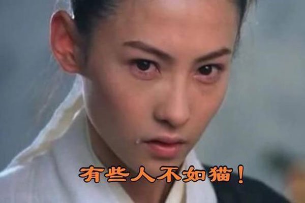 �Ű�֥л������ʽ����������Ϣ ���龭�����������ԭ��