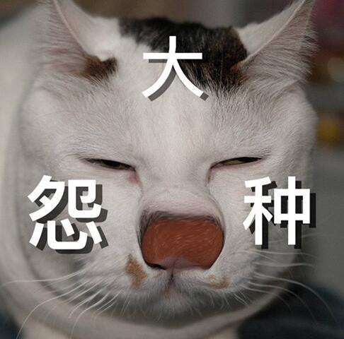 jpg��ʲô��˼�����ȴ� ���С���ɣ�XXXX.jpg��������