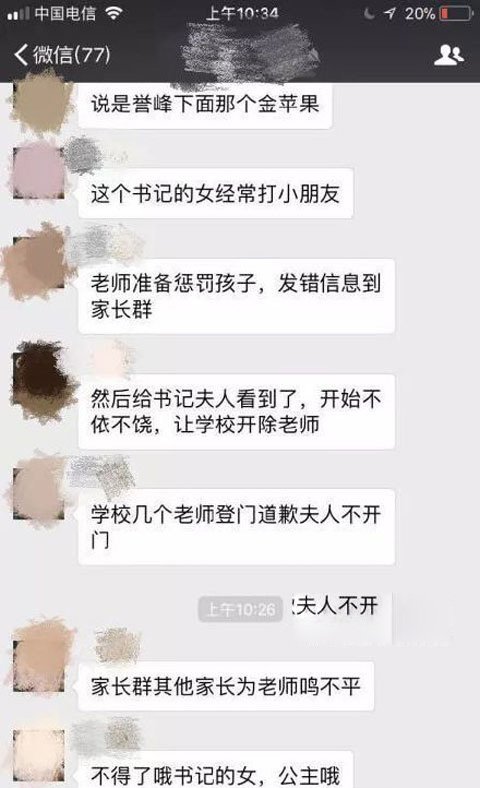 严书记夫人引发社会关注的主要原因 怎么处理的?严夫人幼儿园事件来龙去脉