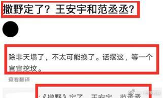 王安宇个人资料主演的电视剧 绯闻恋情:王安宇的女朋女是谁
