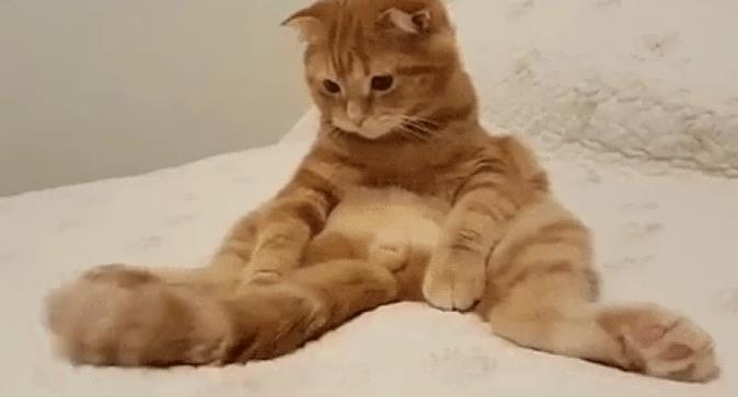 hj��ʲô��˼�������� ����������˼�����бȽ��۵ĺ���