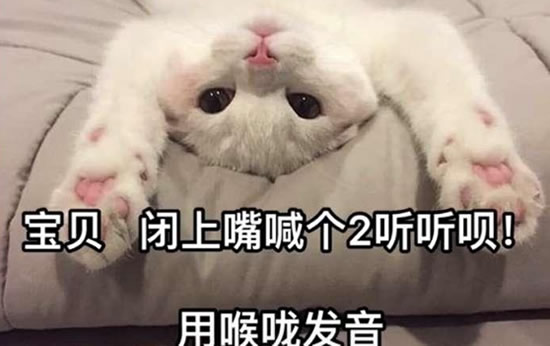 闭上嘴喊个2听听,用喉咙发音 奇怪的喘息:闭上嘴用喉咙发音喊个2表情包