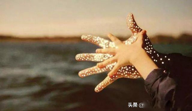 有趣的灵魂万里挑一、好看的皮囊千篇一律 有趣的灵魂指的是什么样的人