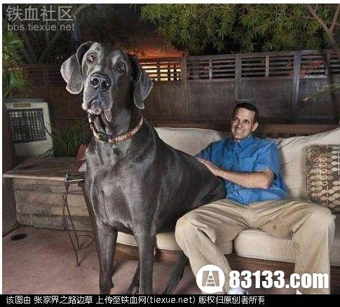 Ĺ Ȯٴ漣ȫ߹ȥ
