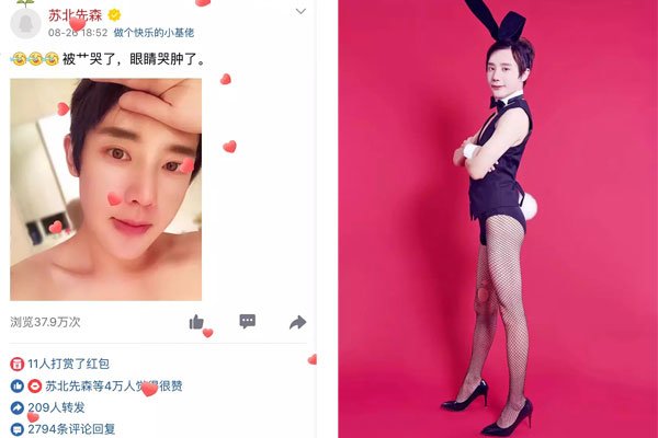 苏北先森和总裁结婚了吗 苏北先森为什么会入狱的故事