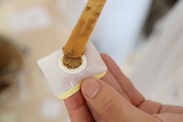 三伏贴贴敷部位图 一般都是贴在脖子后面