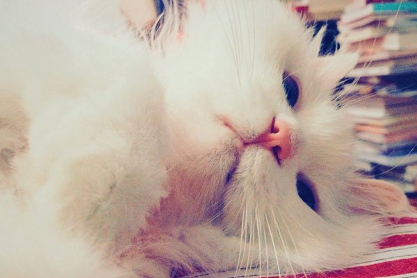 momo����Ů������ô���� �Ĳ���Ƶ������ʲô