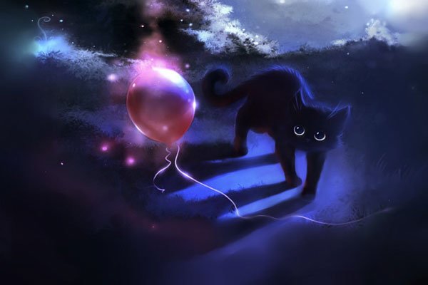 �����������Ϊʲô���� ���ȵ�����������˱�����