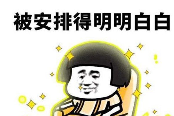 抖音安排是什么意思 一个被全网都玩坏的梗