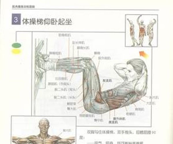 男士提肛运动怎么做 提高夫妻性生活的质量