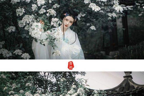 为何渡我不渡她是什么歌曲 故事的设计充满了很多漏洞