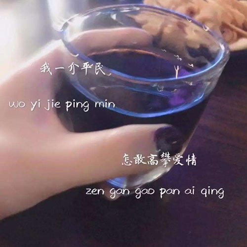 ����lowlowlowlow��ʲô�� ��������йذ���Ĺ���