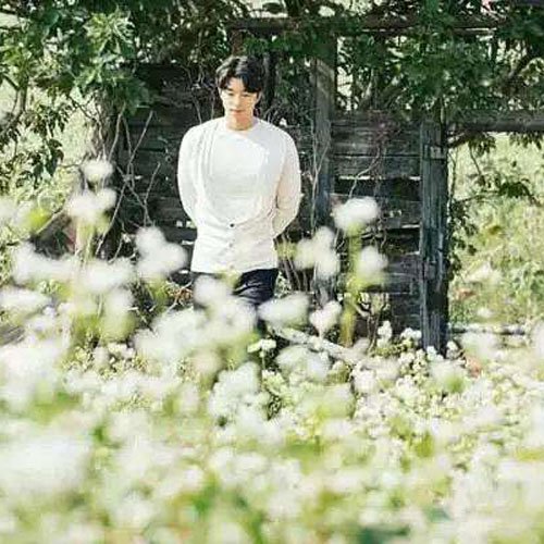 抖音lowlowlowlow是什么歌 表达的是有关爱情的故事