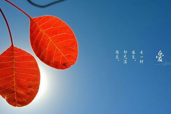 不断的是牵挂是什么歌曲 和尚最终的结局是什么