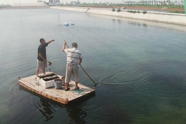 本以为进了你的鱼塘什么梗 海王确实是不一样的