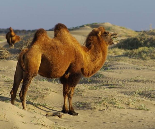 Ϊʲô�����ܳ������� ���������Ĵ̾;��ò����
