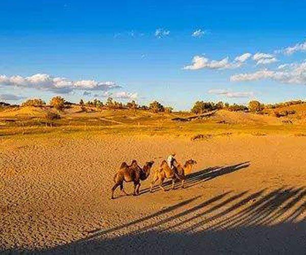 Ϊʲô�����ܳ������� ���������Ĵ̾;��ò����