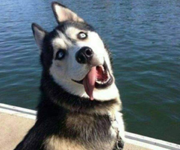 ���˷�����һ�� ��һ�׺���ϲ�еĸ���