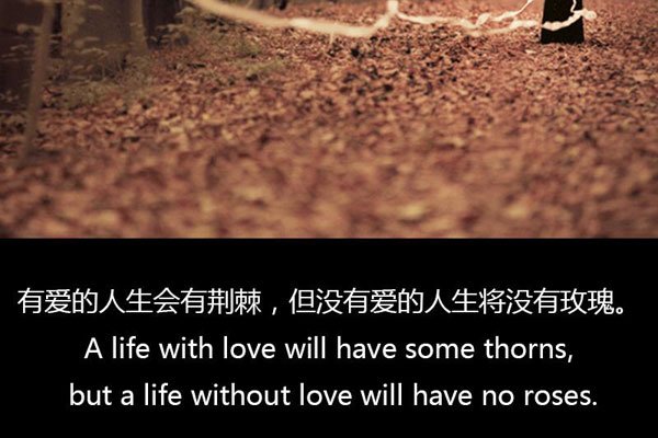 我前世种下不断的是牵挂歌词寄托了思念 小人物改变太难了
