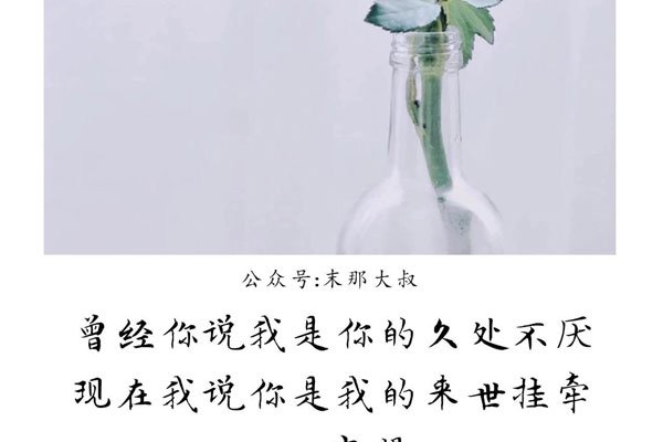 我前世种下不断的是牵挂歌词寄托了思念 小人物改变太难了
