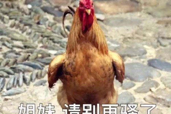 男人压枪是什么意思 在不合适的场合会很糗