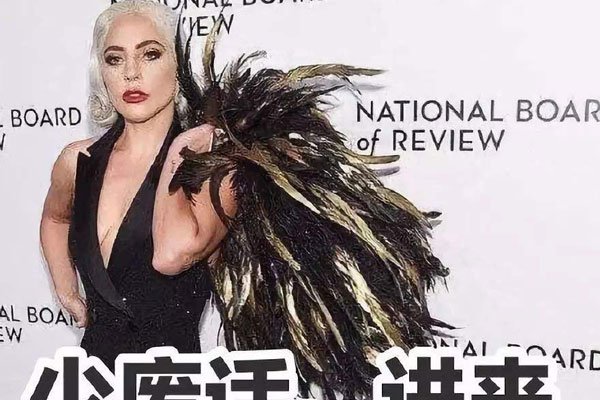 鸡笼警告是什么意思和梗 面对警告还是自愿入套