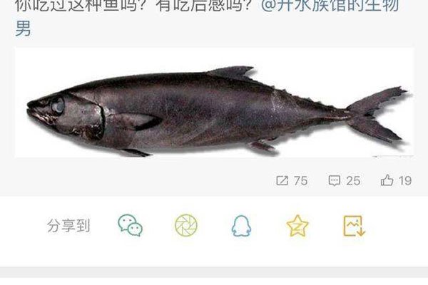 鸡笼警告是什么意思和梗 面对警告还是自愿入套