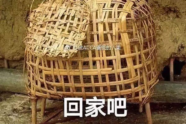 鸡笼警告是什么意思和梗 面对警告还是自愿入套