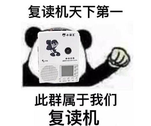 ����ı����Ǹ�������ʲô�� �������ʲô��˼